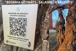 Jaunums! Iepazīsti Salaspils koku stāstus.